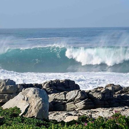 Villa Whales & Waves Hermanus Esterno foto