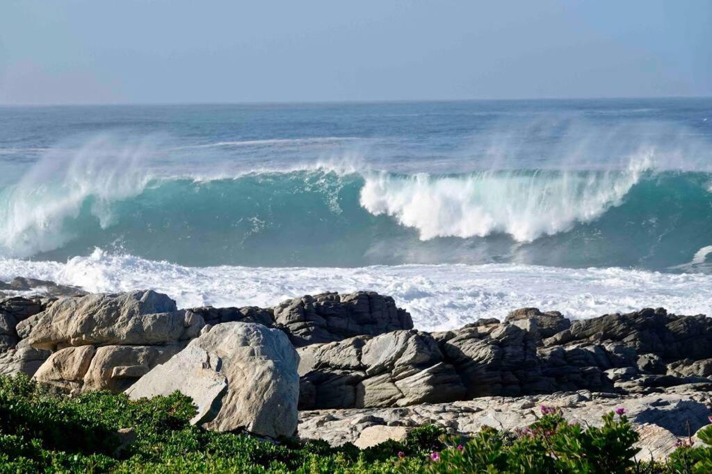 Villa Whales & Waves Hermanus Esterno foto
