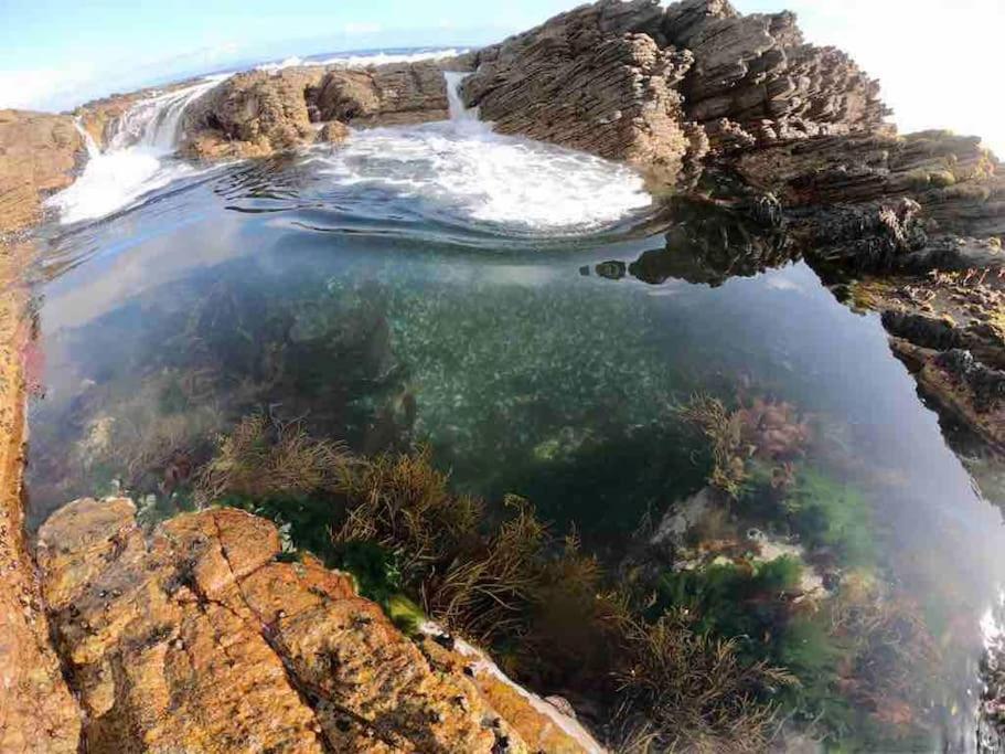 Villa Whales & Waves Hermanus Esterno foto